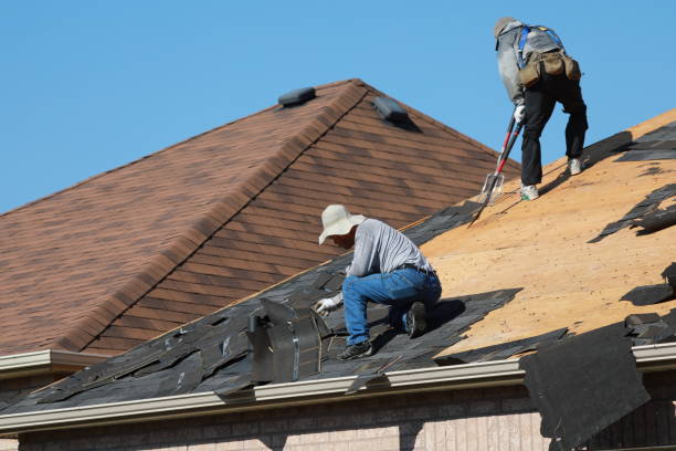 Best Asphalt Shingle Roofing  in Springdale, NJ